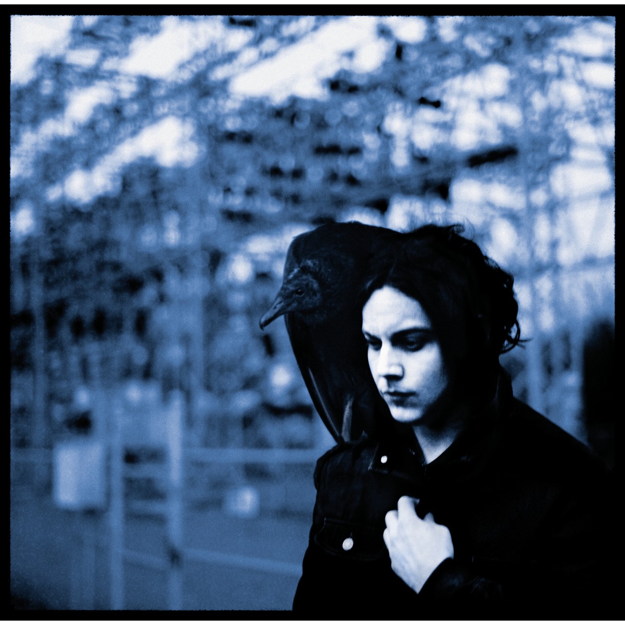 jack white blunderbuss