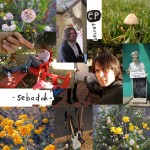 sebadoh-secret-ep